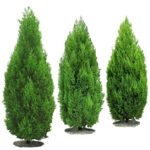 Umělé Cedar styl Topiary strom