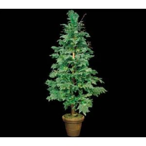 Falešné Cedar Tree