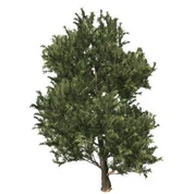 Obří umělý strom jalovec