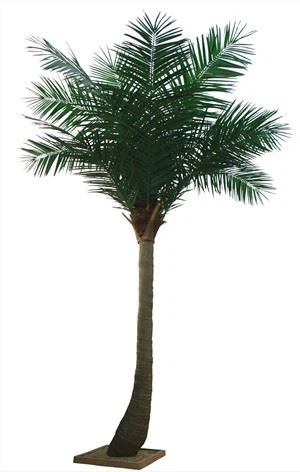 Venkovní umělé Canary Date Palm Tree